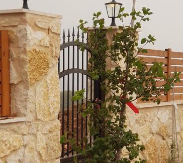 Isfiya Villa | Villa Reefna