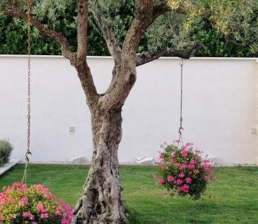 Valica Villa | Villa Roza