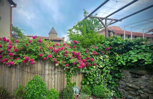 Mtskheta Villa | VILLA SABA WITH TWO BEDROOMS- სასტუმრო საბა