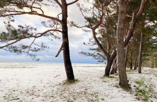 Ostseebad Baabe Apartment | Villa Salus Whg 5 Auszeit - mit 2 Bädern und Balkon