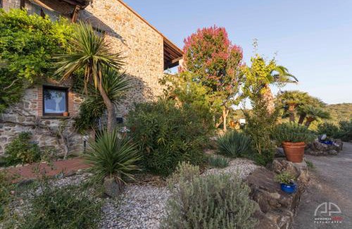 Sassetta House | Villa Sant Anna