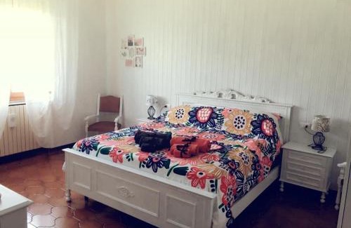 Pramaggiore Bed & Breakfast | Villa Sofia