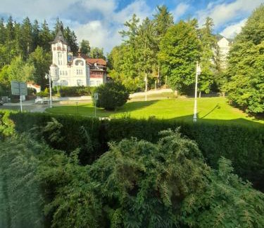 Marianske Lazne Apartment | Villa Sonnenstrahl