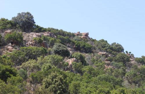 Orosei House | Villa Vera