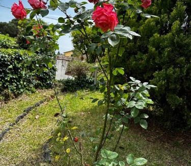 Viagrande House | VILLA VISCALORI A garden with pool and see view near Etna