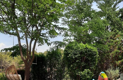 Rognac Villa | Villa with pool nestled in the pine forest.