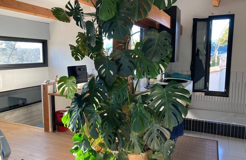 Biot House | Villa with swimming pool and large garden, AC, quiet, 300m from town center