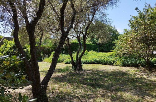 Lodeve Villa | Villa with swimming pool in the hills above Lodève