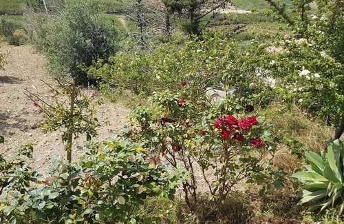 Realmonte House | Villa within walking distance of the beach and Scala dei Turchi, near Agrigento