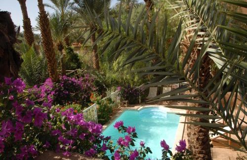 Amezrou House | Villa Zagora Ma Villa au Sahara