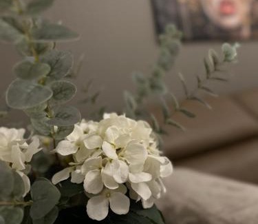 Villach Apartment | Villach City Comfort Suite
