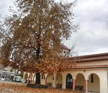 Grevena House | Village House Grevena
