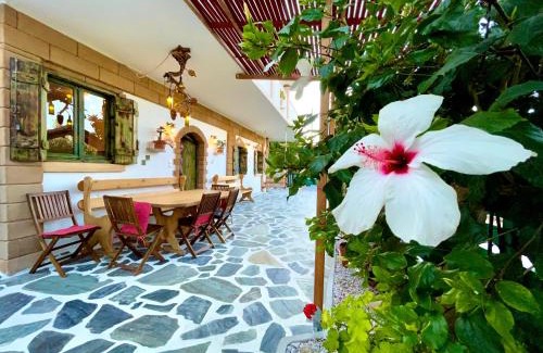 Kotsiana Apartment | Village Villa Mimis Drapanias