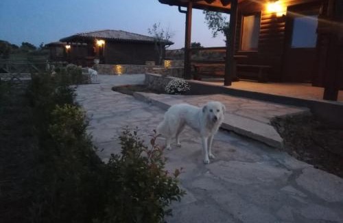 Carlentini House | Villaggio San Demetrio