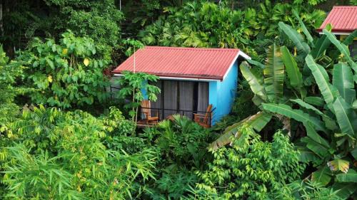 El Cerro Villa | Villas In Sueño Private Jungle Hotel