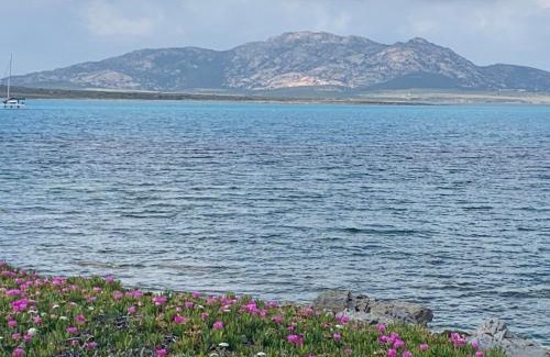 Stintino House | Villino Le Ortensie