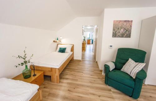 Novy Saldorf-Sedlesovice Apartment | Vinařský apartmán Špalek