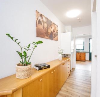 Novy Saldorf-Sedlesovice Apartment | Vinařský apartmán Špalek