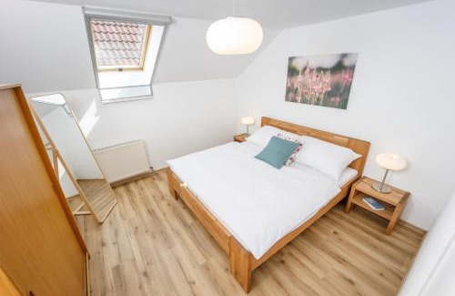 Novy Saldorf-Sedlesovice Apartment | Vinařský apartmán Špalek