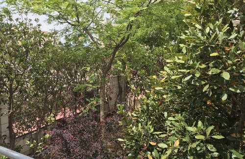 San Jorge Apartment | Vinaros: apartment with large terrace and garden