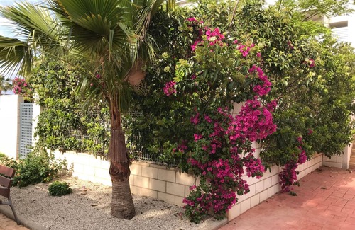 San Jorge Apartment | Vinaros: apartment with large terrace and garden