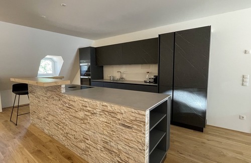 Bregenz Apartment | "VINCENT Loft in the city center."