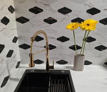 Cesis Apartment | Vinetas Apartments Nr5 Purple dream