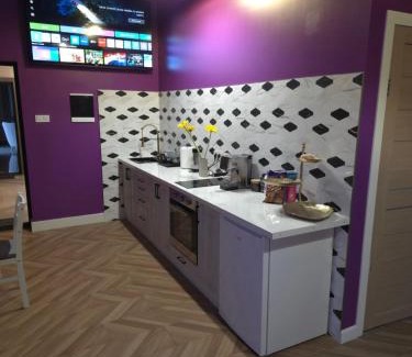 Cesis Apartment | Vinetas Apartments Nr5 Purple dream