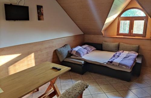 Vacenovice Apartment | Vinný sklep u Brodů