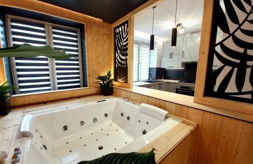 Osiedle Centrum Apartment | VIP APARTAMENT MALMEDA JACUZZi