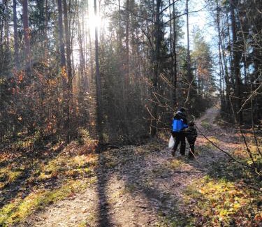 Anyksciai Villa | Vip Forest dreams villa