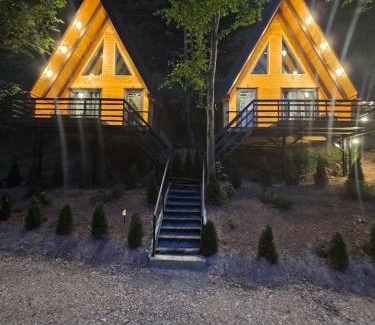 Plav Apartment | Visitor Place