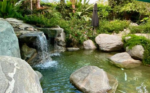 Warm Sands Resort | Vista Grande Resort - A Gay Men's Resort