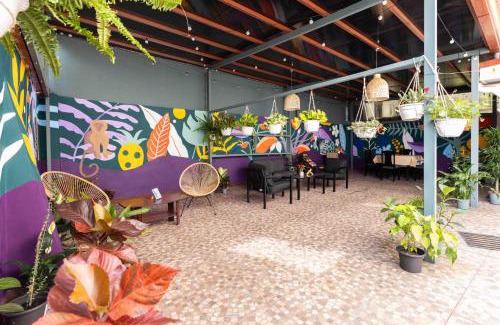 Pavas House | Viva Guest House