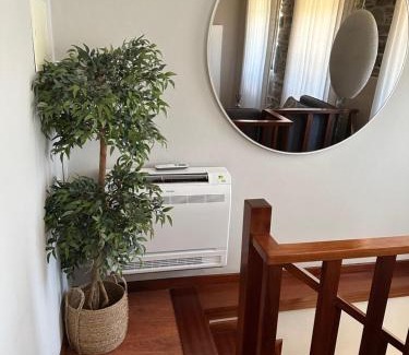 Lamego House | Vivenda Oliveira - Alojamento Local