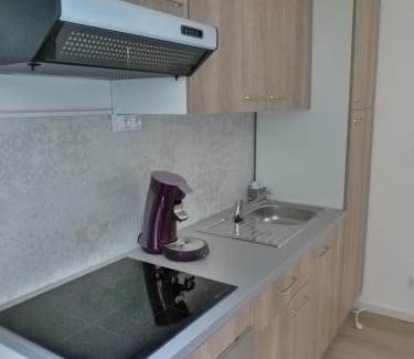 Saint-Martin-du-Littoral Apartment | Vivez Les 4 chemins - Plage - Quartier Saint Vincent