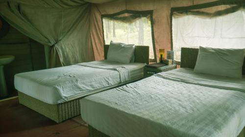 Traeng Trayueng Resort | vKirirom Pine Resort