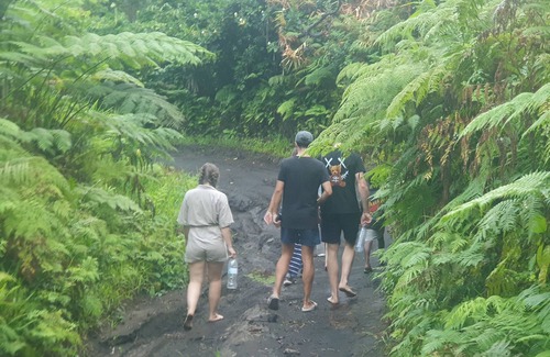 Tanna Island Bed & Breakfast | volcano island paradise