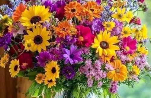 Riez Apartment | Vous viendrez vivre ici 2 pièces lavandes garage à moto