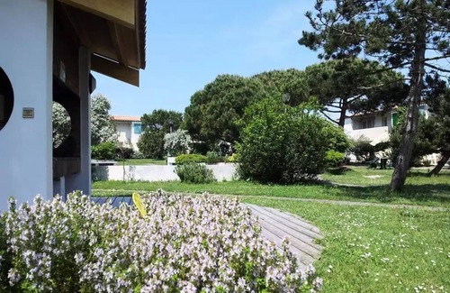 Ars-en-Re Apartment | VVF Résidence Île de Ré Ars-en-Ré * - 3 Rooms 5 People 1 baby Ground floor