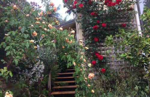 Waitomo Caves Bed & Breakfast | Waitomo Caves Guest Lodge