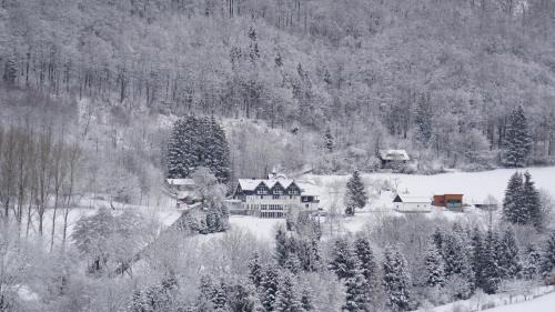 Olsberg Hotel | Waldhotel Schinkenwirt