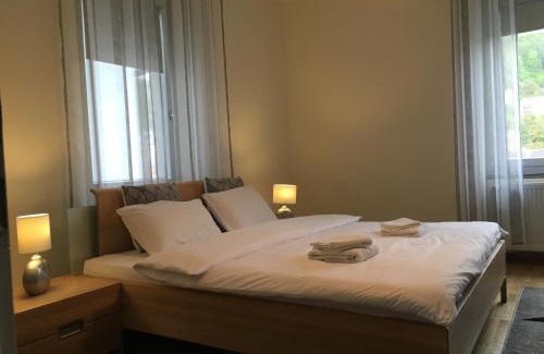 Waldshut-Tiengen Apartment | WALDSHUT SUITE IN ZENTRUM