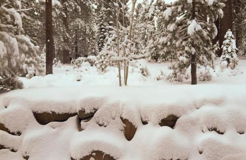 Truckee House | Walk-Friendly Truckee House