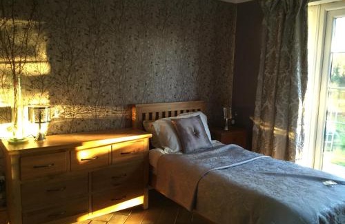 East Huntspill Cabin | Wall Eden Farm - Luxury Log Cabins and Glamping