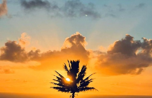 Hakalau House | Waterfall Wellness Haven Sauna, Ice Bath, & More