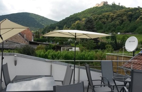 Neustadt-Hambach Apartment | Weinhaus Kruppenbacher - apartment, shower, WC, non-smoking