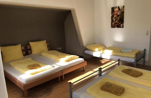 Durbach Villa | Wein Lodge Durbach - Gruppenhaus Weingut Neveu