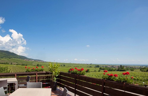 Burrweiler Hotel | Weinhotel Kienle