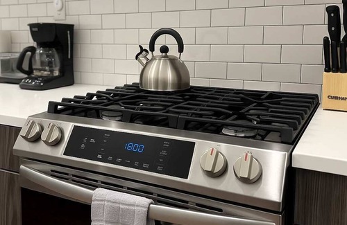 Chicago Apartment | Well-Appointed &Vibrant 2BR Apt